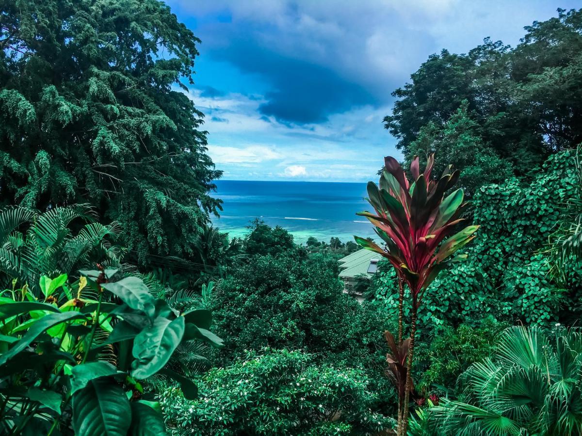 Apartmán Ocean Vista Au Cap Exteriér fotografie